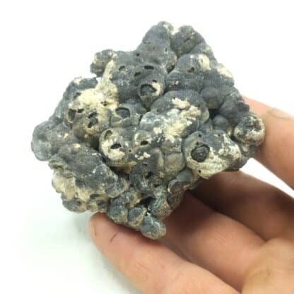 Schalenblende et Galène, Carrière de Pen an Crec’h, Mantallot, Côtes-d’Armor. – Image 5