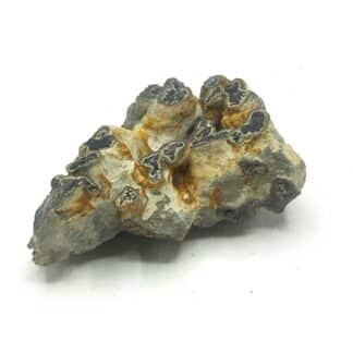 Pyrite et Schalenblende, Pen an Crec’h, Mantallot, Côtes-d’Armor.