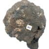 Manganite et Manganogel, Le Haut-Poirot, Gérardmer, Vosges, Alsace.