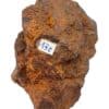 Pyrite ps. Goethite, Coursan, Côte d’Or.
