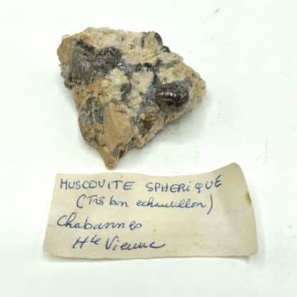 Muscovite testacée, Chabannes, Haute-Vienne, Limousin.