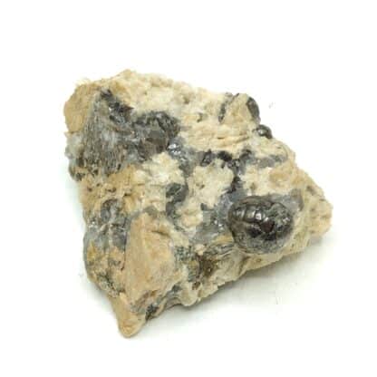 Muscovite testacée, Chabannes, Haute-Vienne, Limousin.