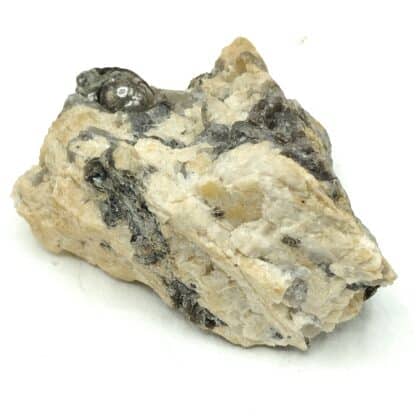 Muscovite testacée, Chabannes, Haute-Vienne, Limousin.