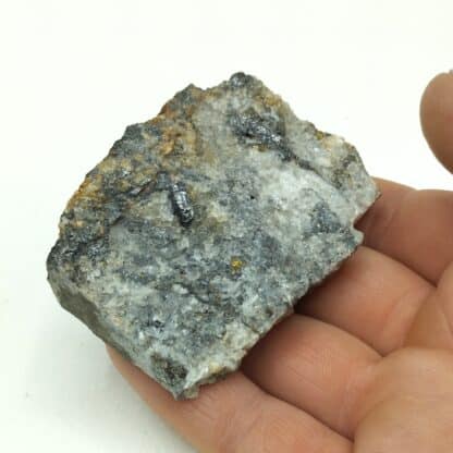 Bournonite, Chalcopyrite et Argent natif, La Rabasse, Hérault. – Image 5
