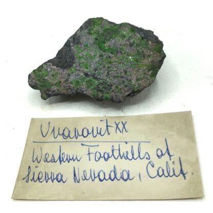 Uvarovite (Grenat), Western Foothills, Californie, USA (États-Unis).