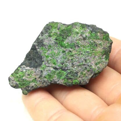 Uvarovite (Grenat), Western Foothills, Californie, USA (États-Unis).