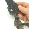 Cuprite sur Cuivre natif, Lac Supérieur, USA (États-Unis).