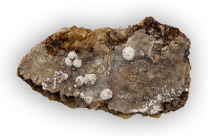 Rauenthalite, Giftgrube, Sainte-Marie-aux-Mines, Haut-Rhin, Alsace.