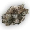 Anatase, Mine de l’Ami, Saint-Guérin, Savoie.