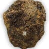 Grenat var. Andradite, Arizona, USA.