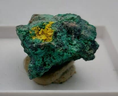 Marthozite, Musonoi, Kolwezi, Katanga, Congo (RDC).