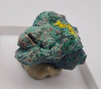 Marthozite, Musonoi, Kolwezi, Katanga, Congo (RDC).