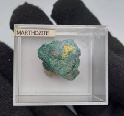 Marthozite, Musonoi, Kolwezi, Katanga, Congo (RDC).