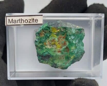 Marthozite, Musonoi, Kolwezi, Katanga, Congo (RDC).