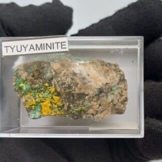 Tyuyamunite et Malachite, Mashamba West, Kolwezi, Katanga, Congo (RDC).