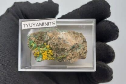 Tyuyamunite et Malachite, Mashamba West, Kolwezi, Katanga, Congo (RDC).