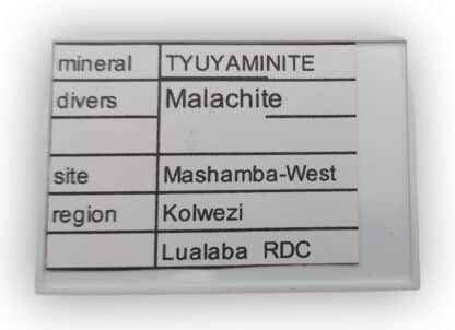 Tyuyamunite et Malachite, Mashamba West, Kolwezi, Katanga, Congo (RDC).
