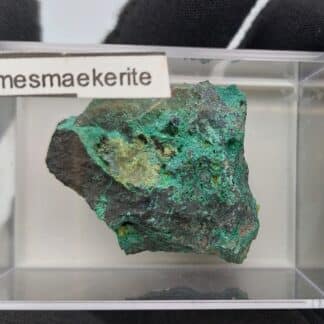 Demesmaekerite, Musonoi, Kolwezi, Katanga, Congo (RDC).