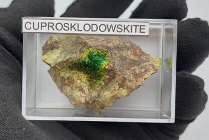 Cuprosklodowskite et Uranophane, Musonoi, Kolwezi, Katanga, Congo (RDC).