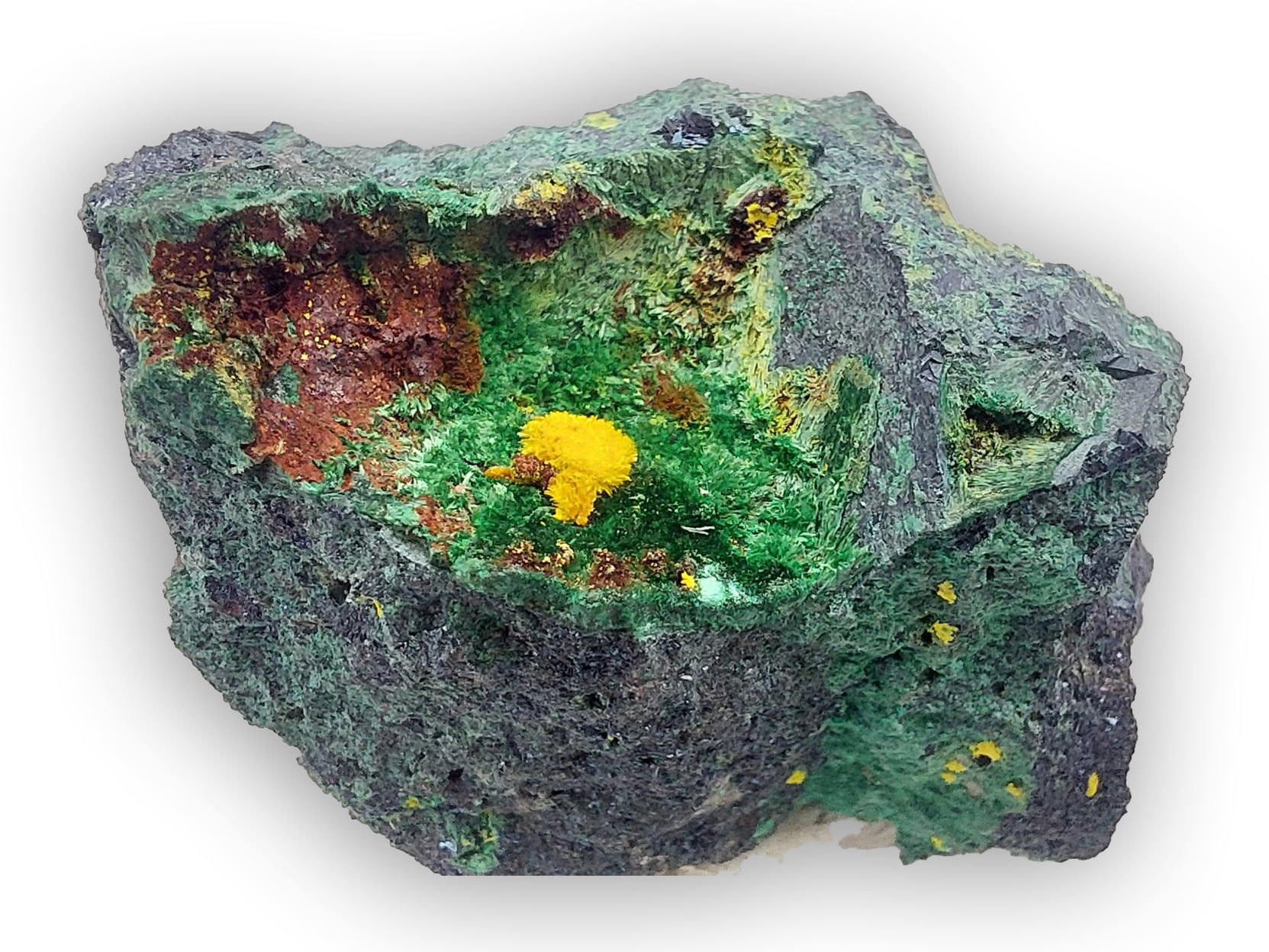 Guilleminite, Musonoi, Kolwezi, Katanga, Congo (RDC).