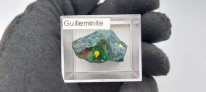 Guilleminite, Musonoi, Kolwezi, Katanga, Congo (RDC).