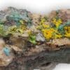 Tyuyamunite et Malachite, Mashamba West, Kolwezi, Katanga, Congo (RDC).