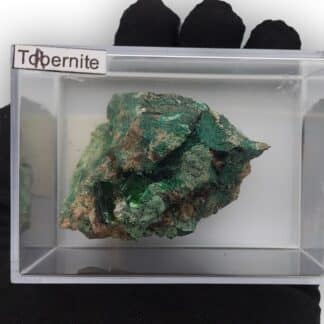 Torbernite, Musonoi, Kolwezi, Katanga, Congo (RDC).