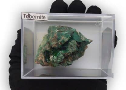 Torbernite, Musonoi, Kolwezi, Katanga, Congo (RDC).