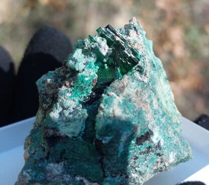 Torbernite, Musonoi, Kolwezi, Katanga, Congo (RDC).