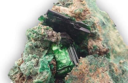 Torbernite, Musonoi, Kolwezi, Katanga, Congo (RDC).