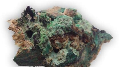 Torbernite, Musonoi, Kolwezi, Katanga, Congo (RDC).