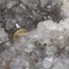 Barytine et Quartz, Baia Sprie, Roumanie.