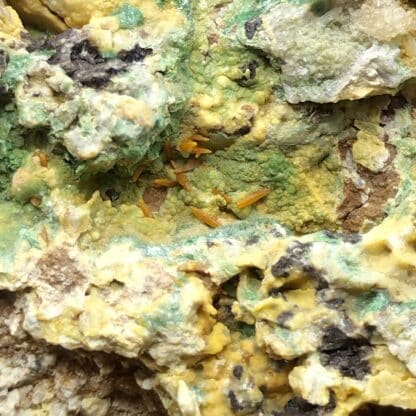 Pyromorphite & Wulfénite, La Verrière, Les Ardillats, Rhône.