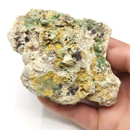 Pyromorphite & Wulfénite, La Verrière, Les Ardillats, Rhône.