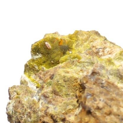 Wulfénite & Pyromorphite, Les Douillets, Vandenesse, Saône-et-Loire.