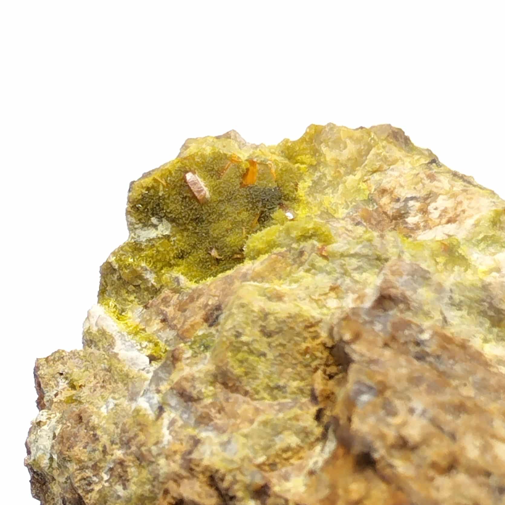 Wulfénite & Pyromorphite, Les Douillets, Vandenesse, Saône-et-Loire.