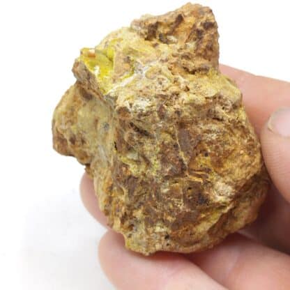 Wulfénite & Pyromorphite, Les Douillets, Vandenesse, Saône-et-Loire.