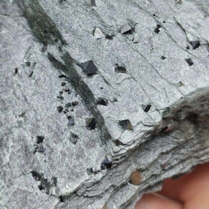 Magnétite & Pyrite, Alp Rischuna, Vals, Suisse.