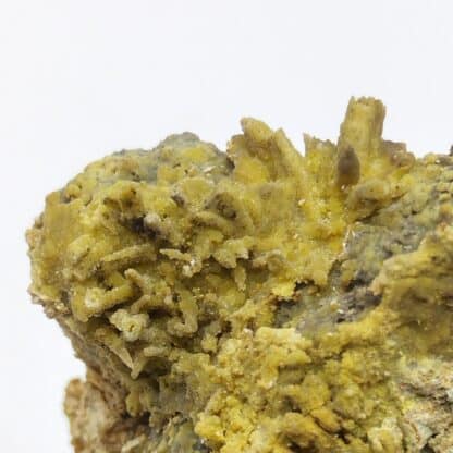 Pyromorphite et Plattnérite, Sainte-Lucie, Saint-Léger-de-Peyre, Lozère.