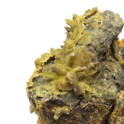 Pyromorphite et Plattnérite, Sainte-Lucie, Saint-Léger-de-Peyre, Lozère.