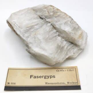 Fasergyps (Gypse), Hasmersheim, Neckar, Allemagne.