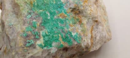 Cornwallite et Malachite, La Verrière, Les Ardillats, Rhône.