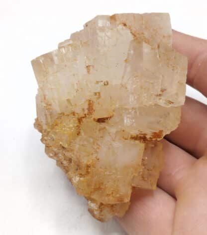 Sel gemme (Hyalite), Mine Marie Louise, Staffelfelden, Haut-Rhin, Alsace.