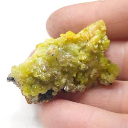 Pyromorphite, San Andrès, Andalousie, Espagne.