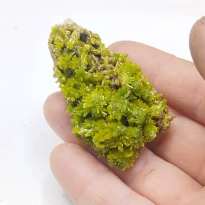 Pyromorphite, Les Farges, Ussel, Corrèze, Limousin.