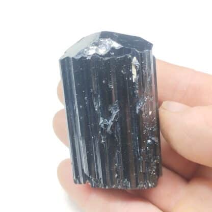 Tourmaline (Schorl), Madagascar.