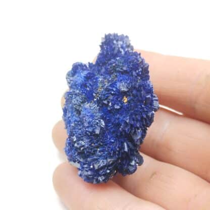 Azurite (Chessylite), Chessy-les-Mines, Rhône.