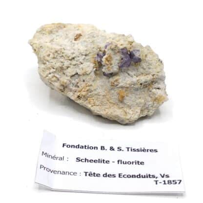 Scheelite & Fluorite, Tête des Econduits, Mont-Chemin, Valais, Suisse.