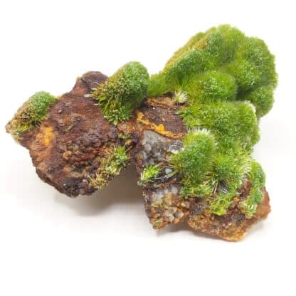 Pyromorphite, Saint-Salvy, Tarn.