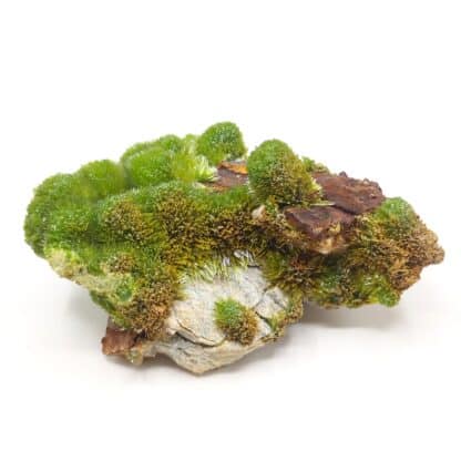 Pyromorphite, Saint-Salvy, Tarn.